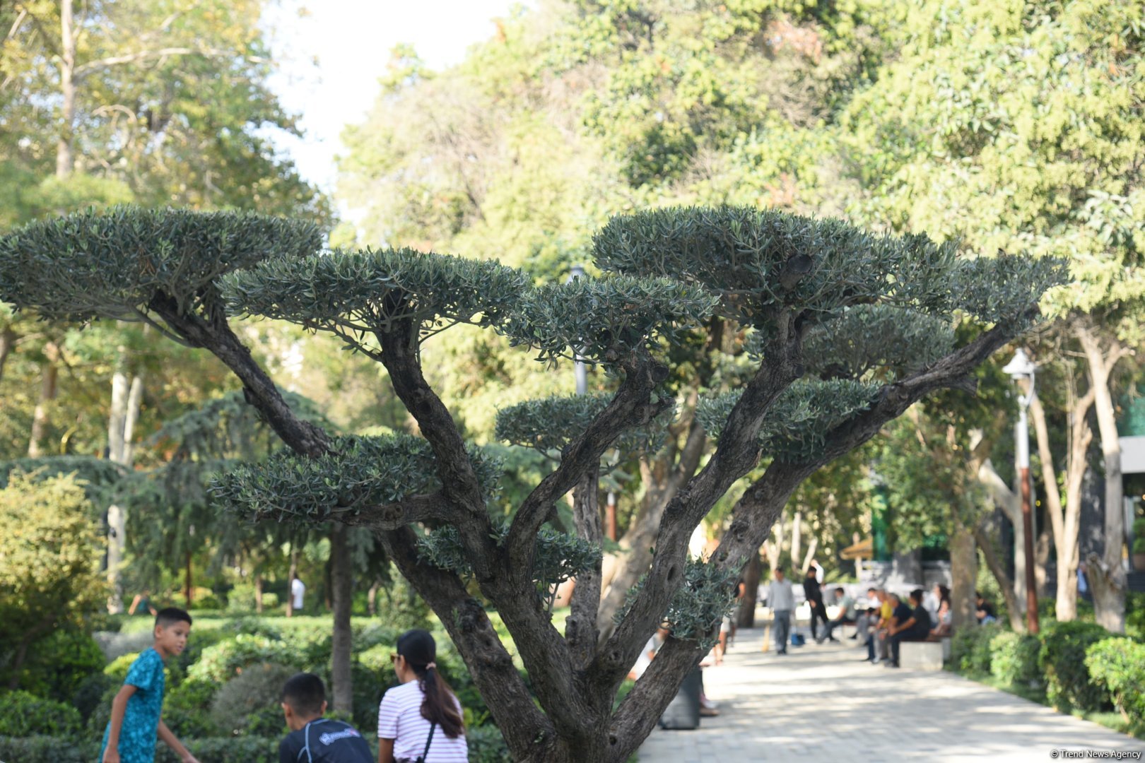 Shots from renovated "Khagani" Garden in Baku (PHOTO)  