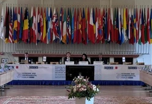 Туркменская делегация подчеркнула региональную значимость ТАПИ на форуме ОБСЕ