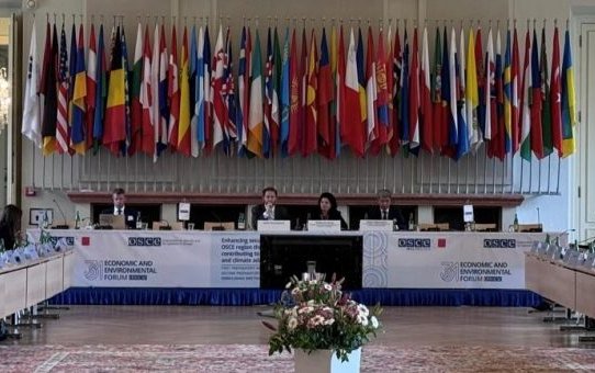 Туркменская делегация подчеркнула региональную значимость ТАПИ на форуме ОБСЕ