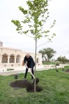 President Ilham Aliyev attends inauguration of Imarat Complex in Aghdam following its restoration (PHOTO/VIDEO)