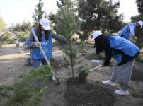 Another tree-planting campaign held with participation of Vice-President of Heydar Aliyev Foundation Leyla Aliyeva and Head of Baku Media Center Arzu Aliyeva (PHOTO)