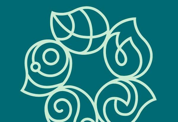 COP29 events to be aired in multiple languages