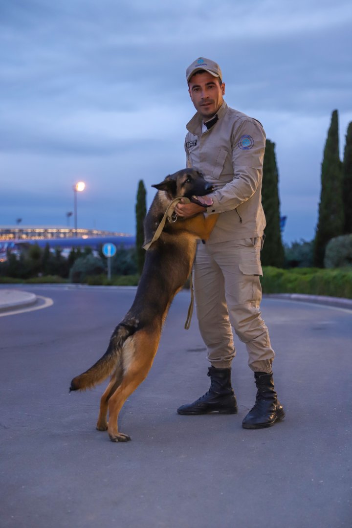 Azerbaijan to employ more dogs for demining liberated territories (PHOTO)