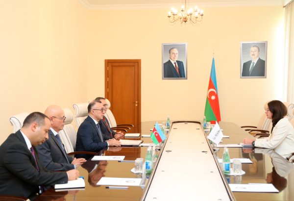 Azerbaijan marks success in implementing Global Fund projects - health minister (PHOTO)