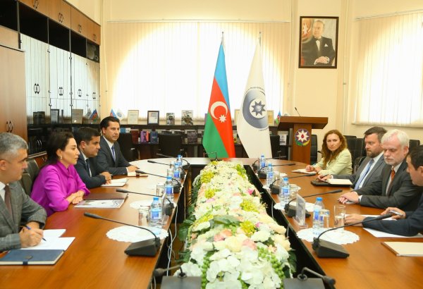Azerbaijani ombudsperson, US envoy mull over human right protection efforts