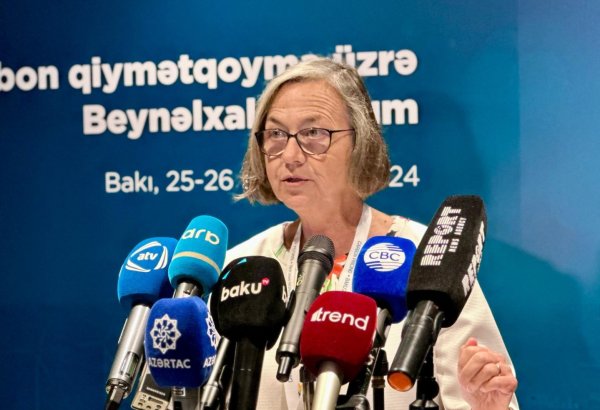 Azerbaijan remains committed member of IOTA - executive secretary