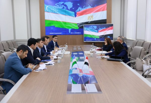 Uzbekistan, Egypt discuss establishment of joint chamber of commerce