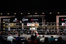 Ночь чемпионов IBA: Азербайджанские боксеры одержали победу (ФОТО)