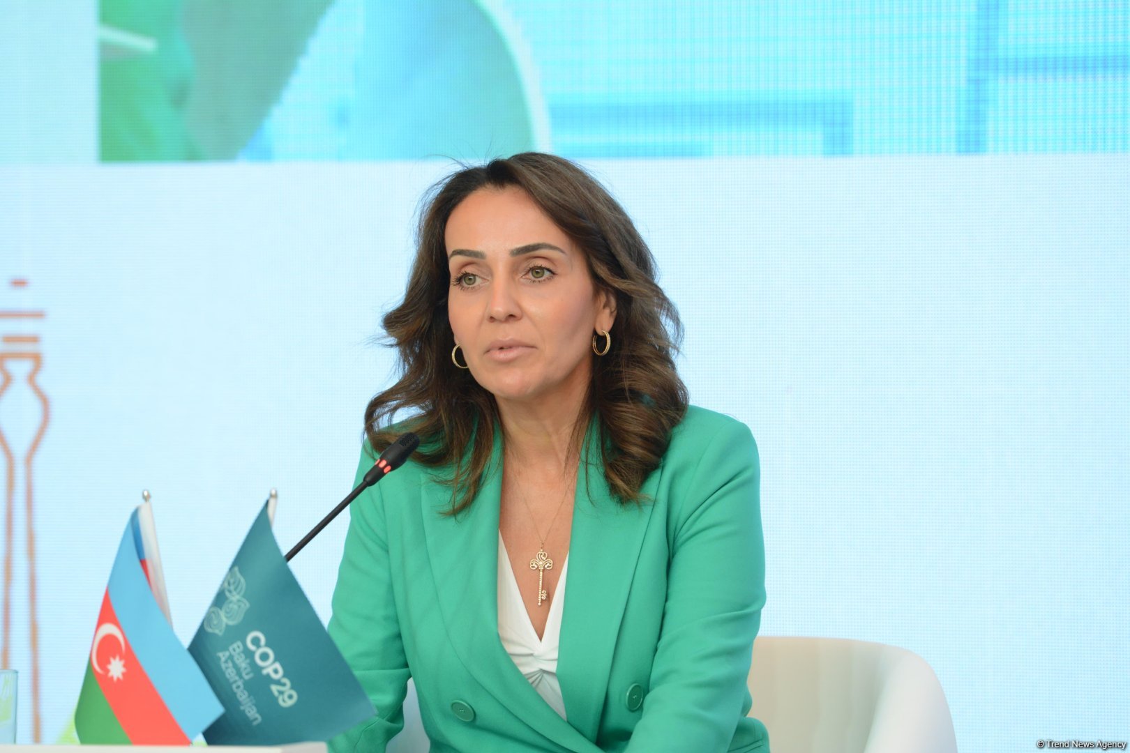 WB, IFC air climate funding details at Baku Climate Action Week