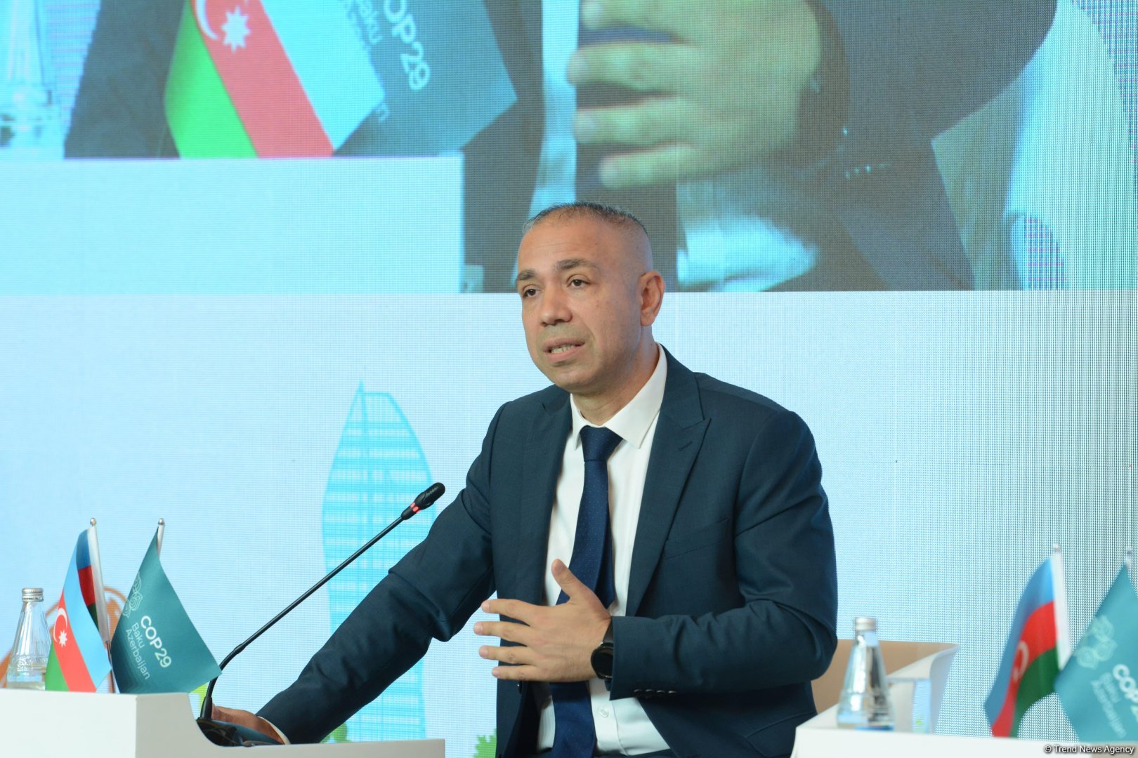 Most Azerbaijani emissions come from energy sector  - COP29 CEO