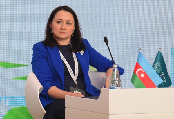 Water level of Caspian Sea steadily declining - COP29 Presidency representative