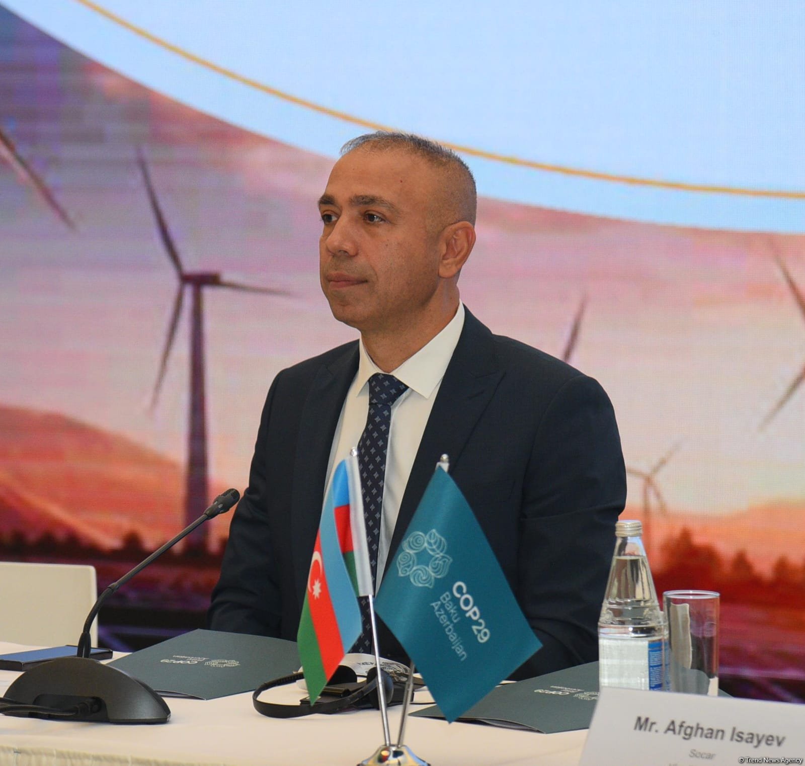 Successful green transformation calls for new skills - official