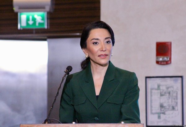 Determining fate of missing persons requires stronger international humanitarian co-op - Azerbaijani ombudsman