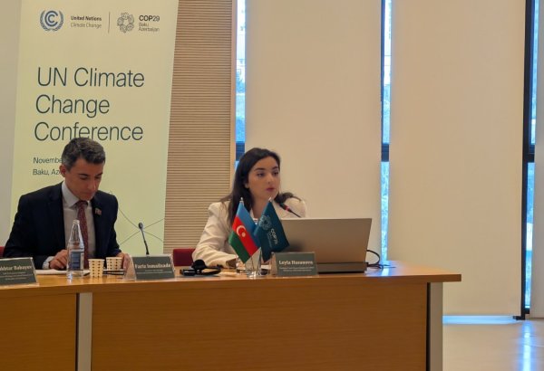 Azerbaijan to discuss university network setup on climate change issues at COP29