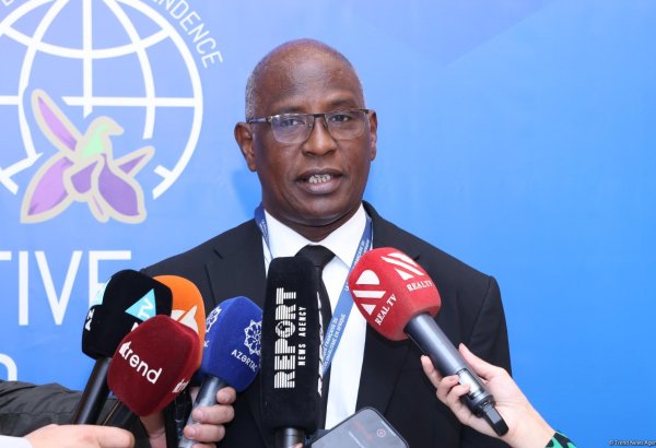 Baku conference proves ideal stage for French neocolonialism combat - Mauritanian activist