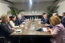 В Бразилии с IEA и IRENA обсуждена энергетическая повестка COP29 (ФОТО)
