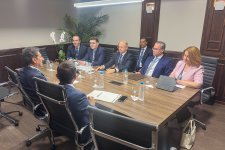 В Бразилии с IEA и IRENA обсуждена энергетическая повестка COP29 (ФОТО)