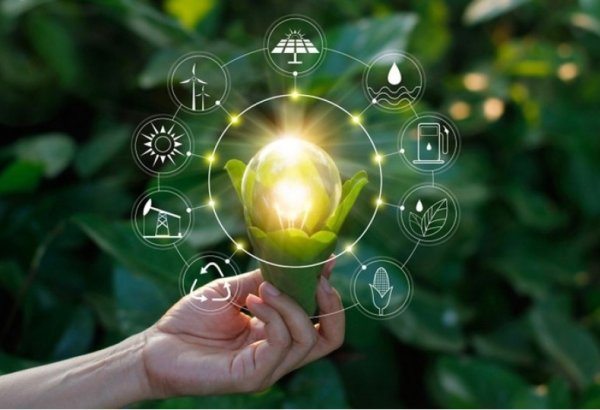 Azerbaijan's potential avails bioenergy-bound green future