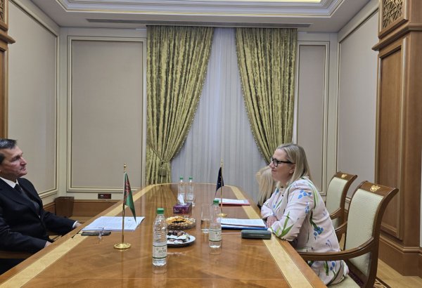 Туркменистан и ЕС обсудили проект "зеленого" развития страны
