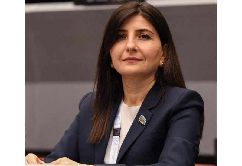 Azerbaijani MP Sevil Mikayilova proposes to prioritize AI and blue economy in state budget expenses