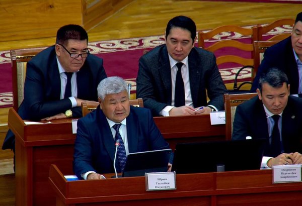 Kyrgyzstan shortlists sites for small nuclear power construction