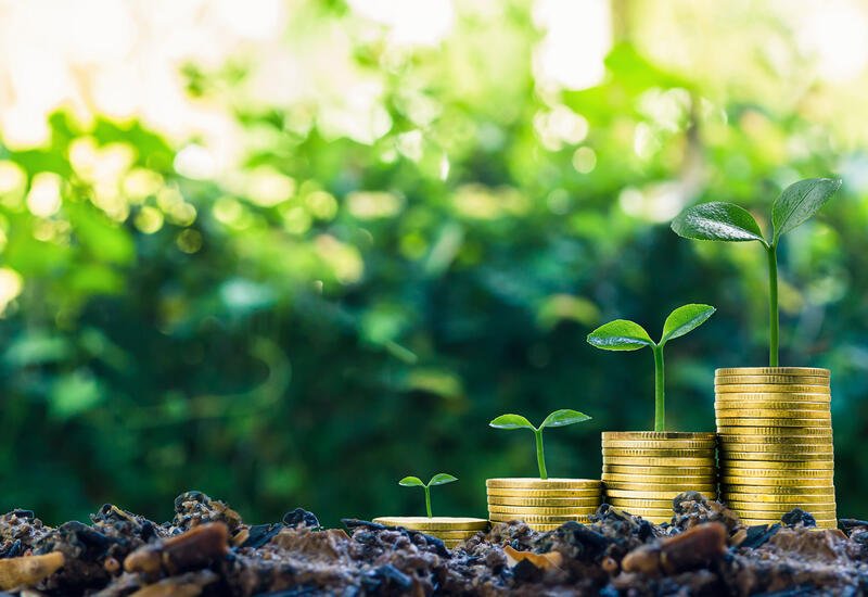 Uzbekistan records strong investment growth in 1Q2026