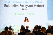 Baku Climate Action Week concludes with bold commitments and strategic initiatives (PHOTO)