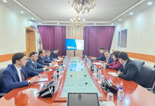 Tajikistan, South Korea view progress on raising solar panel plant in Dangara FEZ