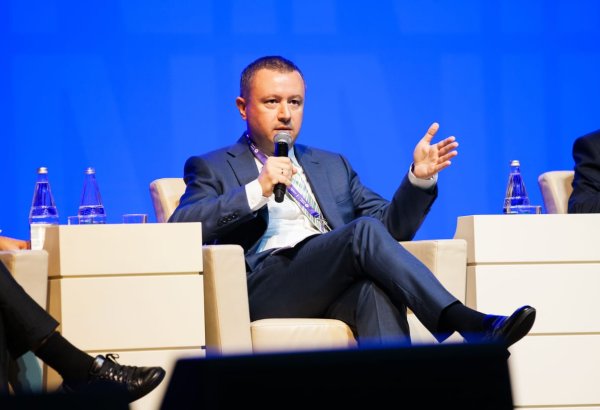Number of free trade agreements in Georgia grows - deputy economy minister