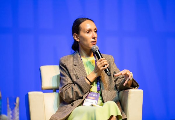 Google launches developer training program for Central Asia and Caucasus ahead of COP29