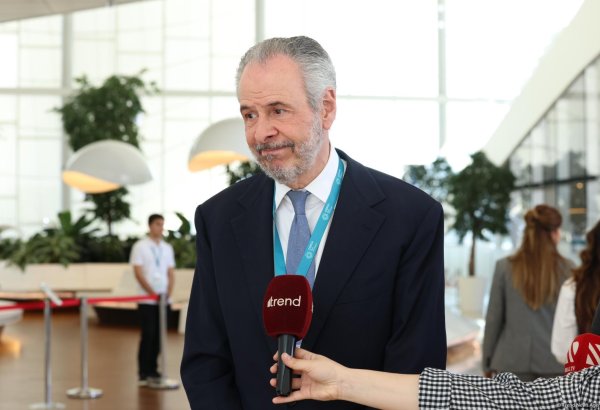 Azerbaijan, UAE and Brazil collaborating to address climate change issues - official