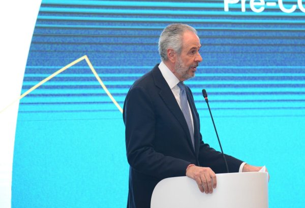 Effective results can yield in Baku within COP29 - Brazilian MFA