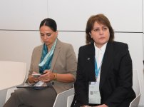 В Баку состоялось совещание Pre-COP29 (ФОТО)