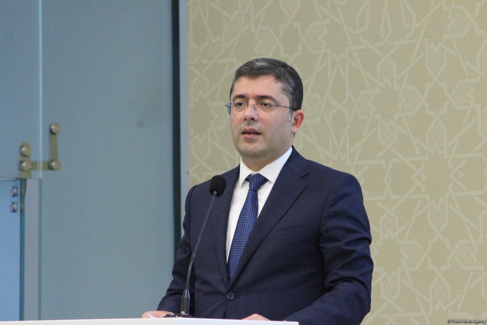 Azerbaijan initiates tackling global information threats jointly with Georgia