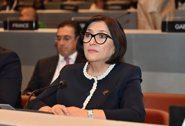 COP29's key decisions demonstrate Azerbaijan's multilateralism commitment - speaker