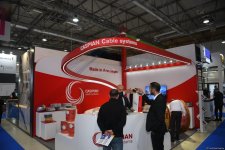 В Баку завершился первый день Каспийской строительной недели (ФОТО) (Обновлено)