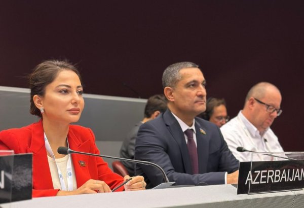 Sustainability and peace are two pillars defining brighter future for all - Azerbaijani MP (PHOTO)