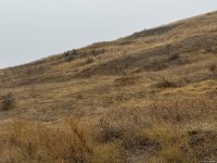 В этот день четыре года назад - освобождение стратегически важного города Физули от оккупации (ФОТО/ВИДЕО)
