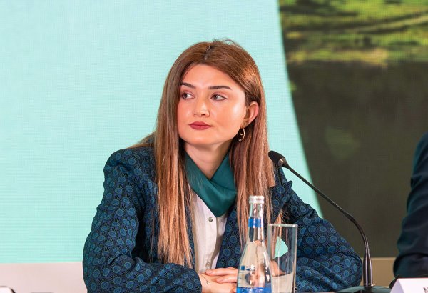 Azerbaijan discloses number of registered guests for COP29