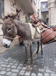 В Баку снимается сериал "Изгои" о тяжелой судьбе русских офицеров в эмиграции (ФОТО)