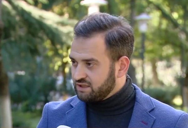 Народ Грузии стремится к миру и развитию, а не к войне и революции – эксперт