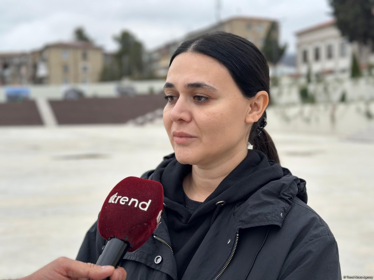 Создание искусственных проблем в связи с выборами направлено на то, чтобы помешать развитию Грузии – Рамиля Алиева