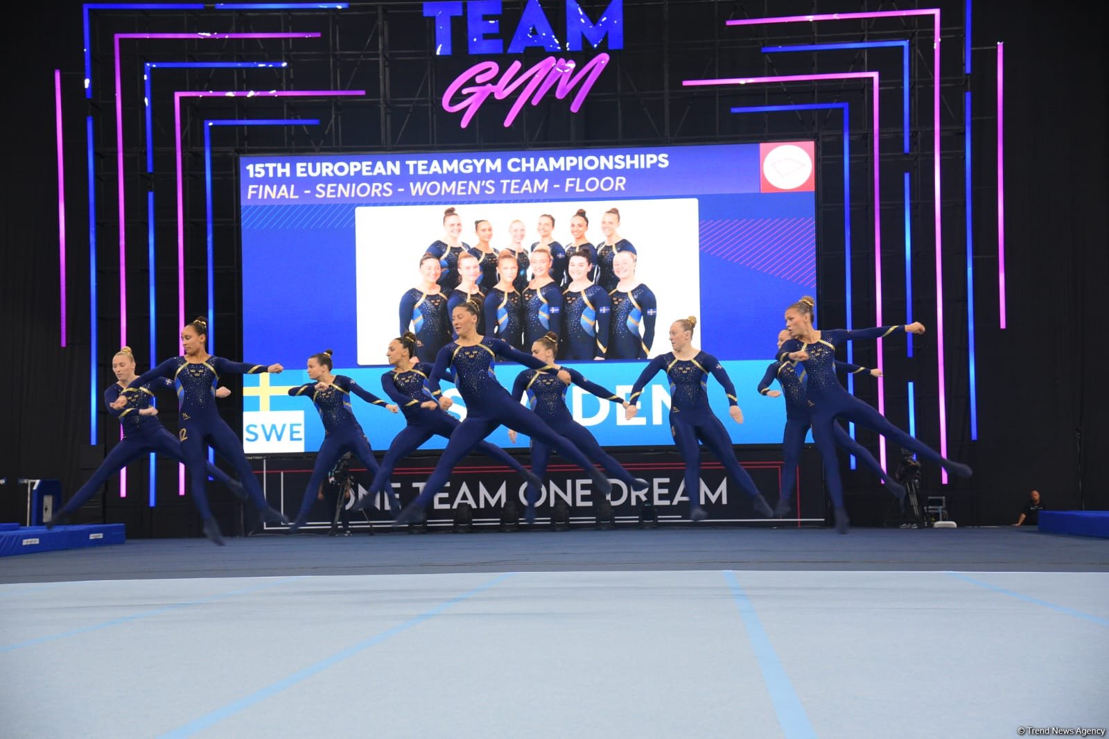 В Баку стартовали финальные соревнования чемпионата Европы по TeamGym (ФОТО)