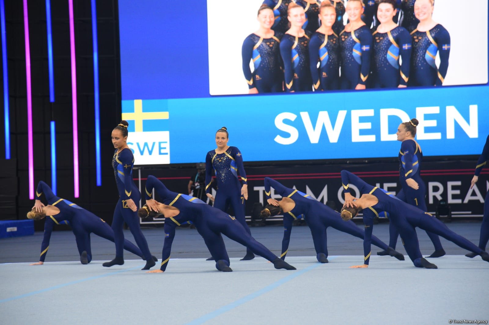 В Баку стартовали финальные соревнования чемпионата Европы по TeamGym (ФОТО)