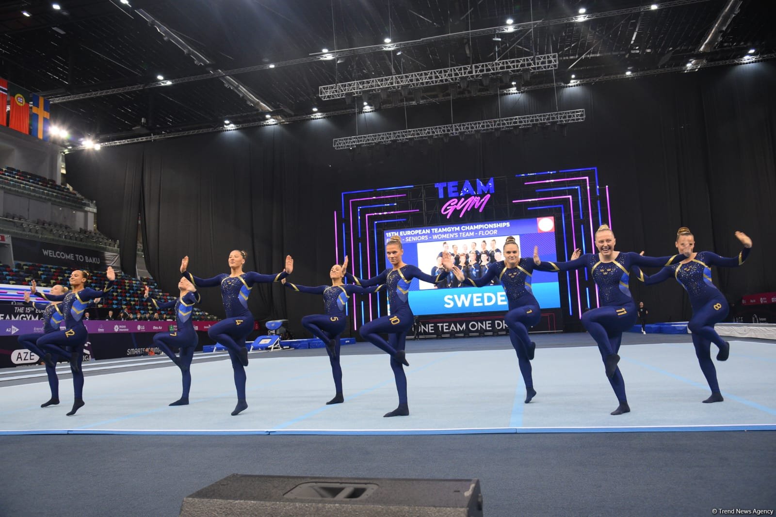 В Баку стартовали финальные соревнования чемпионата Европы по TeamGym (ФОТО)