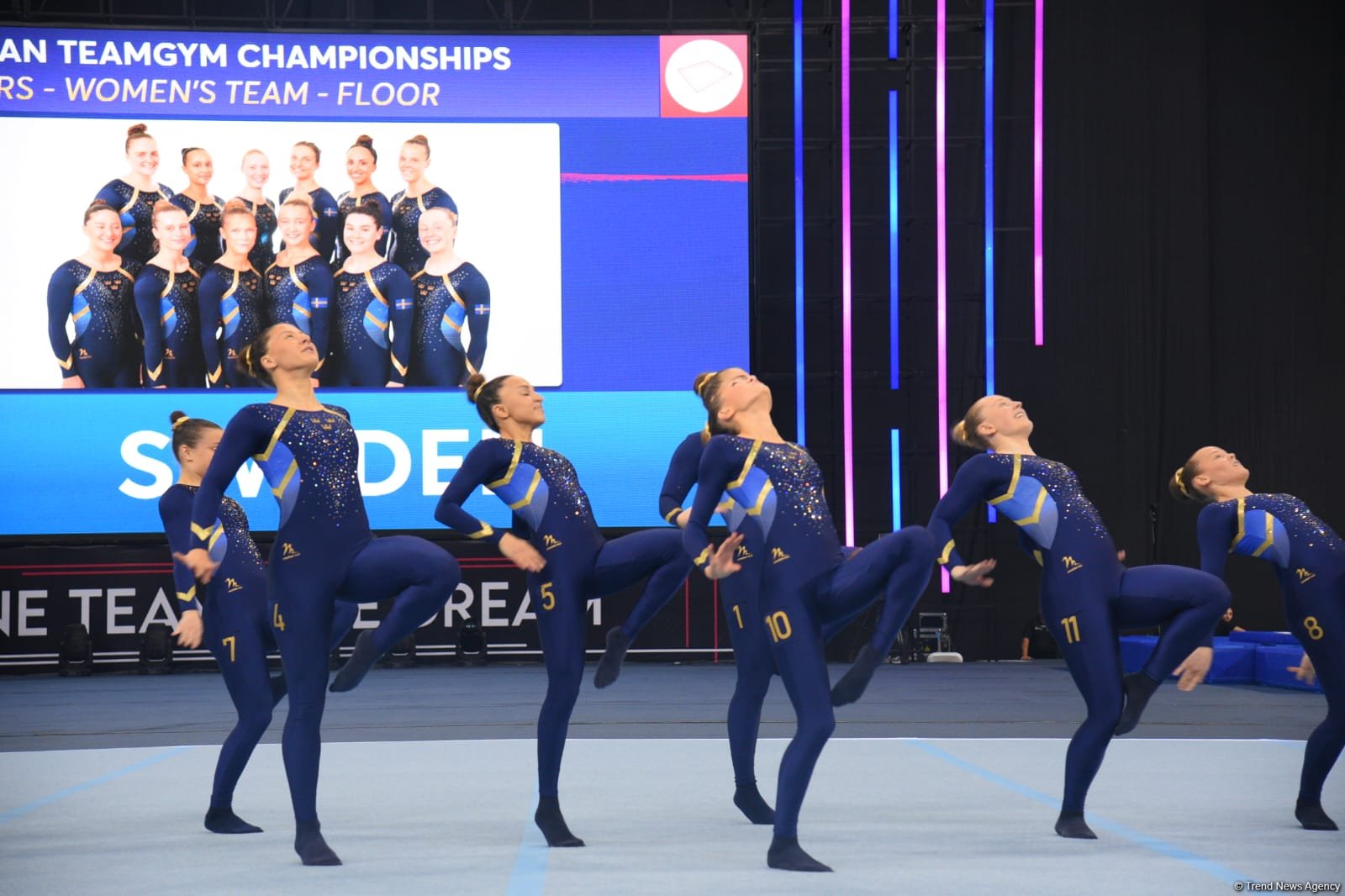 В Баку стартовали финальные соревнования чемпионата Европы по TeamGym (ФОТО)