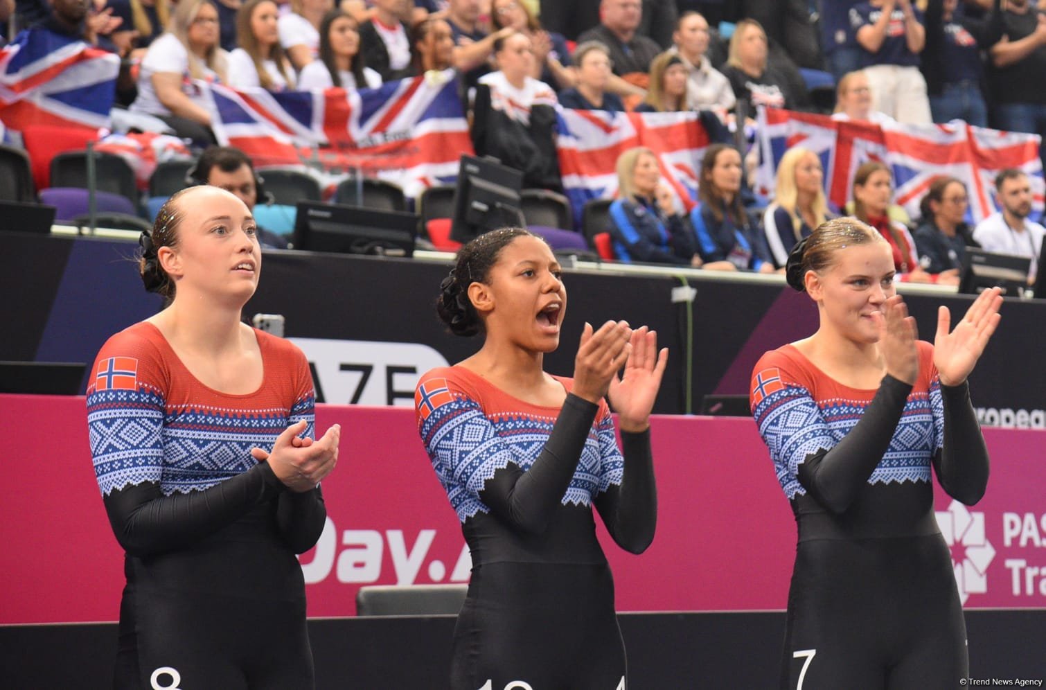 В Баку стартовали финальные соревнования чемпионата Европы по TeamGym (ФОТО)