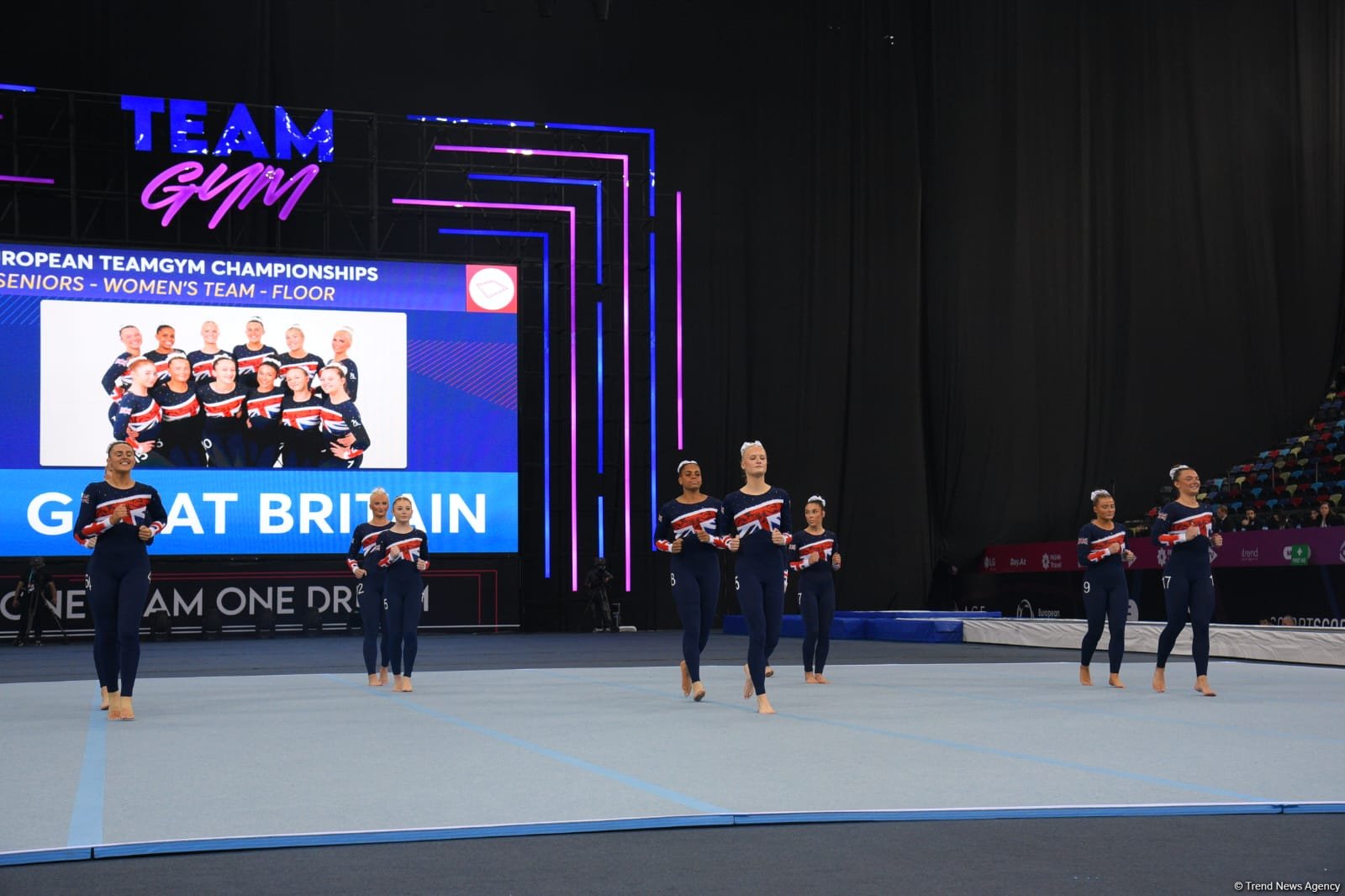 В Баку стартовали финальные соревнования чемпионата Европы по TeamGym (ФОТО)