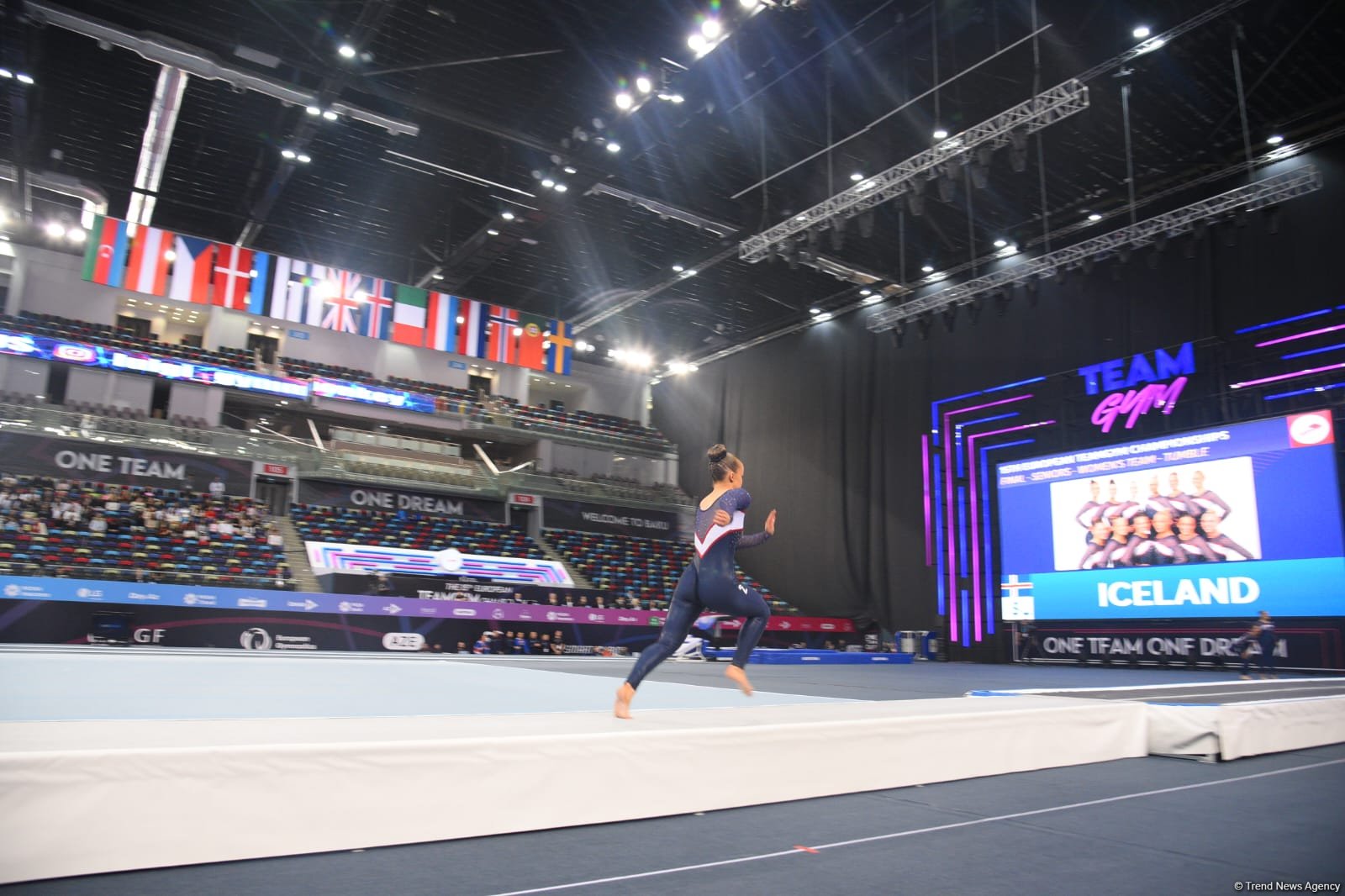В Баку стартовали финальные соревнования чемпионата Европы по TeamGym (ФОТО)