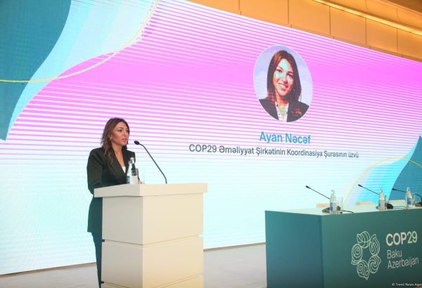 We aim to optimize COP29's effectiveness in all aspects - coordination council member